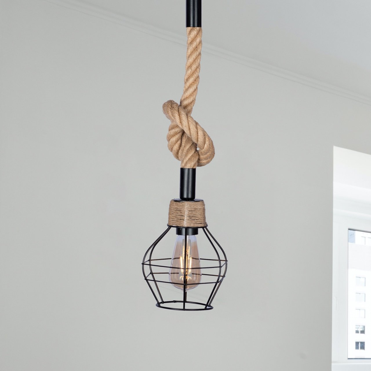 1 Light Rope Ceiling Lamp