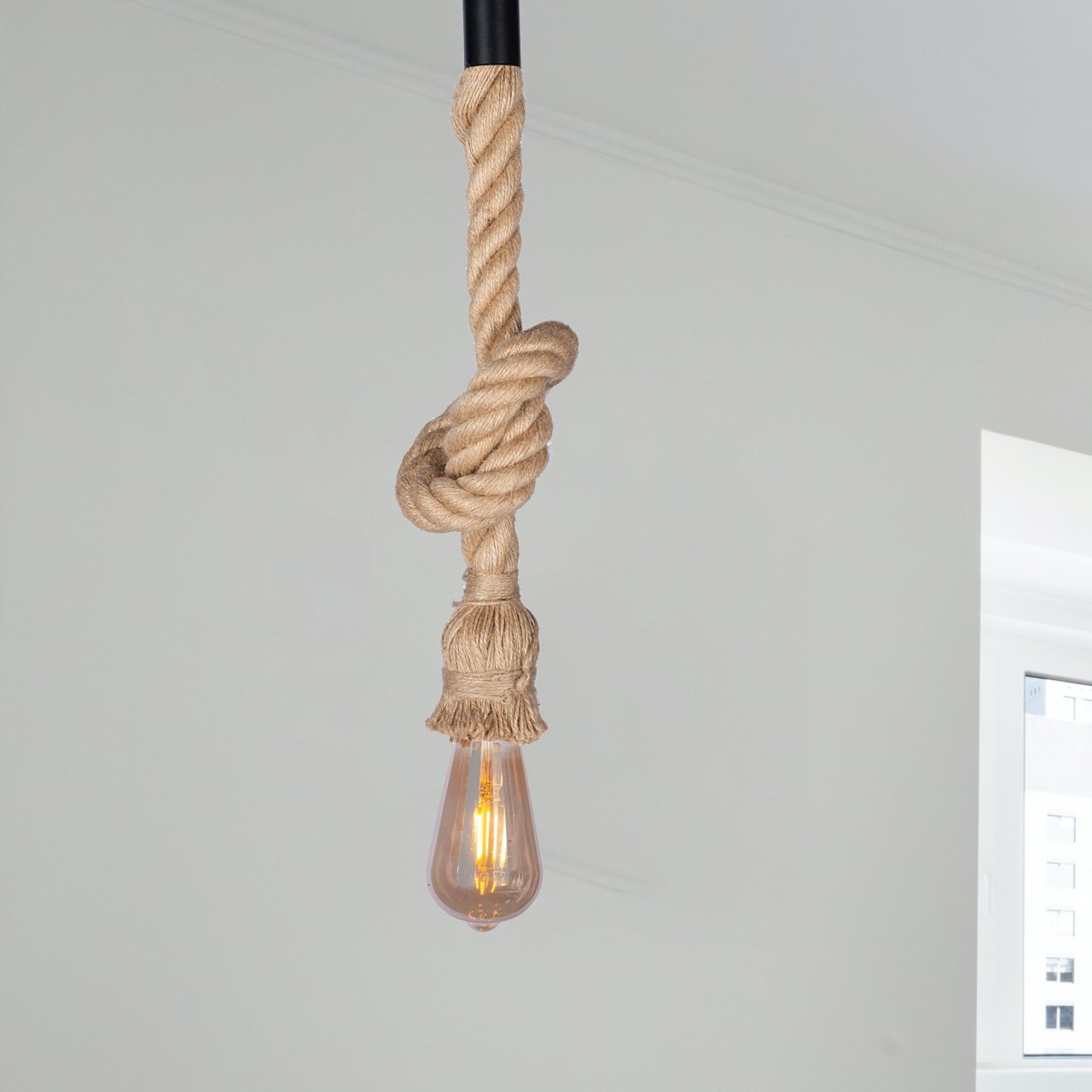 1 Light Rope Ceiling Lamp